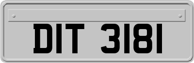 DIT3181
