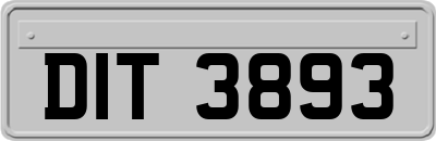 DIT3893
