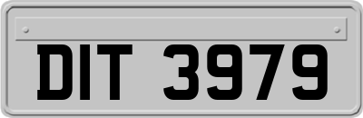 DIT3979