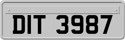 DIT3987