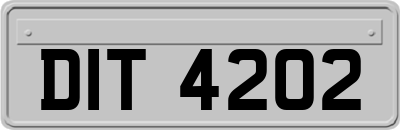 DIT4202