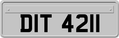 DIT4211