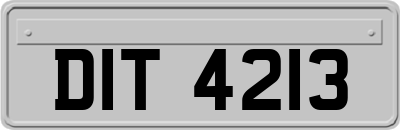 DIT4213