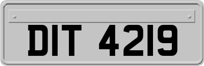 DIT4219