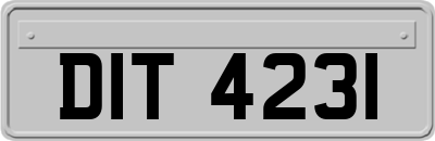 DIT4231