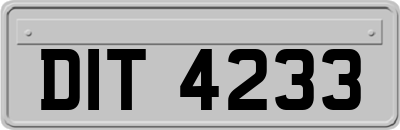 DIT4233