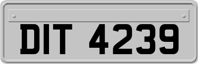 DIT4239
