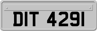 DIT4291