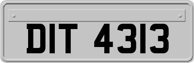 DIT4313