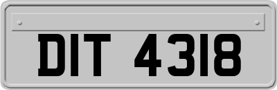 DIT4318