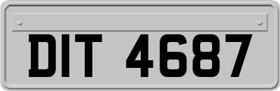 DIT4687