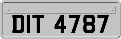 DIT4787