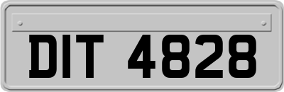 DIT4828