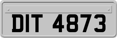 DIT4873