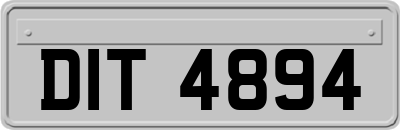 DIT4894