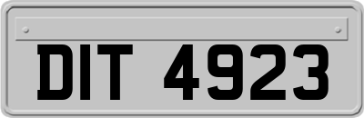 DIT4923