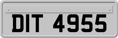 DIT4955