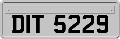 DIT5229