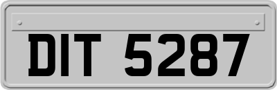 DIT5287