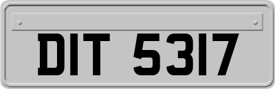 DIT5317
