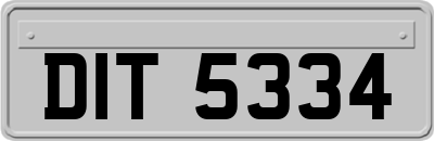 DIT5334