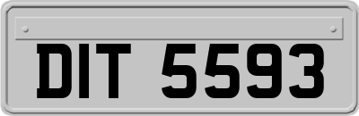 DIT5593