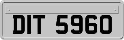 DIT5960