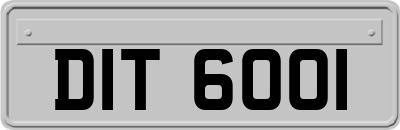 DIT6001