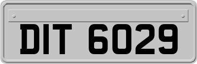DIT6029
