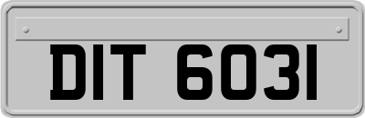 DIT6031