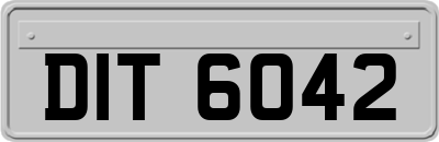 DIT6042