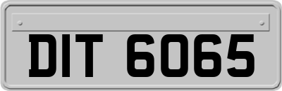 DIT6065