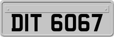 DIT6067