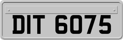 DIT6075