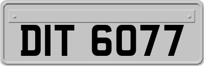 DIT6077