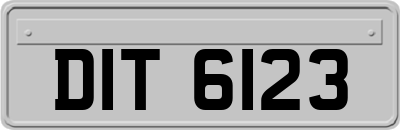 DIT6123