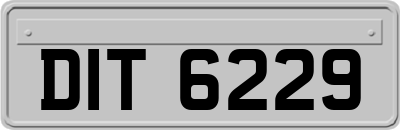 DIT6229