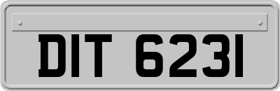 DIT6231