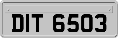 DIT6503