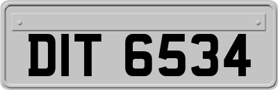 DIT6534