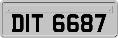 DIT6687