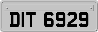 DIT6929
