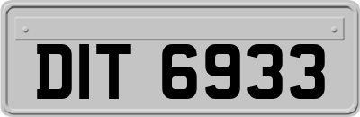 DIT6933