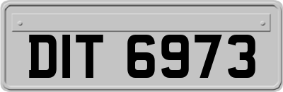 DIT6973