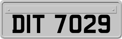 DIT7029