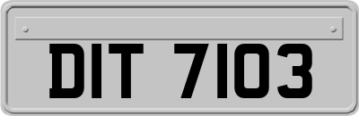DIT7103