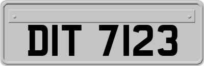 DIT7123