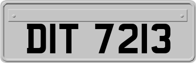 DIT7213