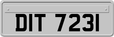 DIT7231