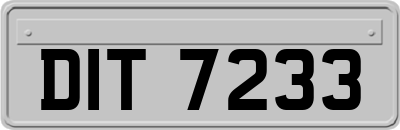 DIT7233